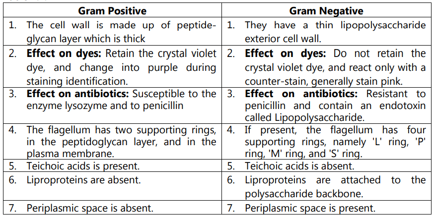differences between gram-positive and gram-negative bacteria