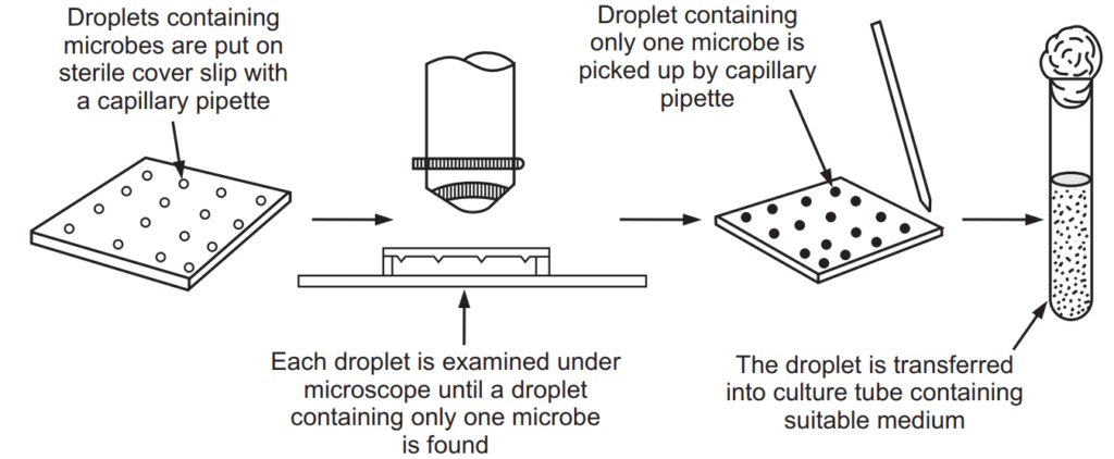  Capillary pipette method