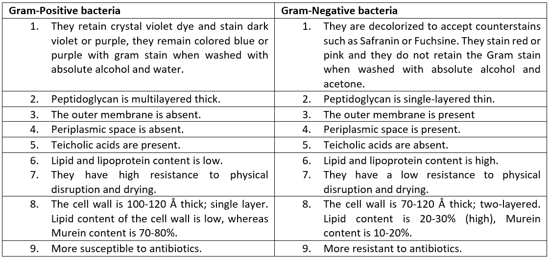 Differences between Gram-Positive and Gram