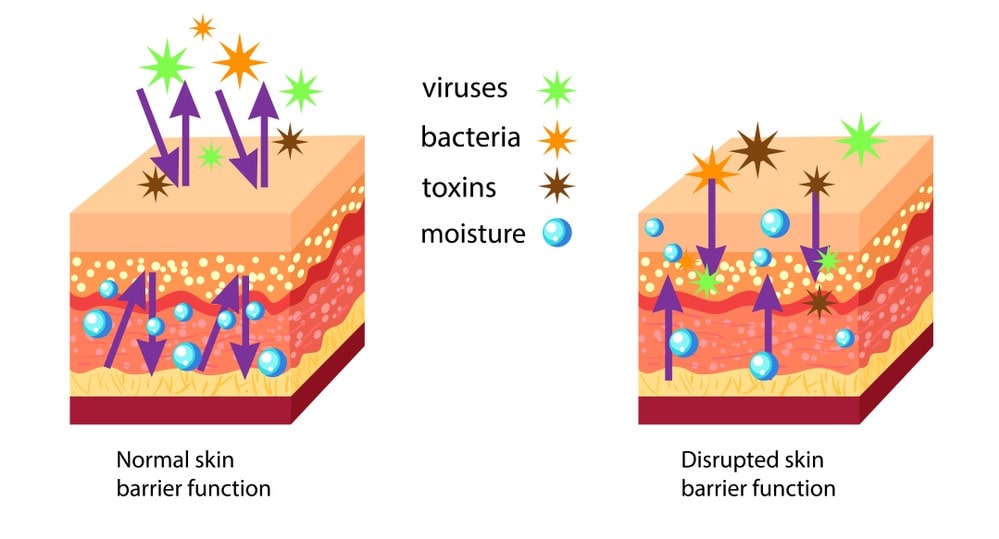 Skin functions