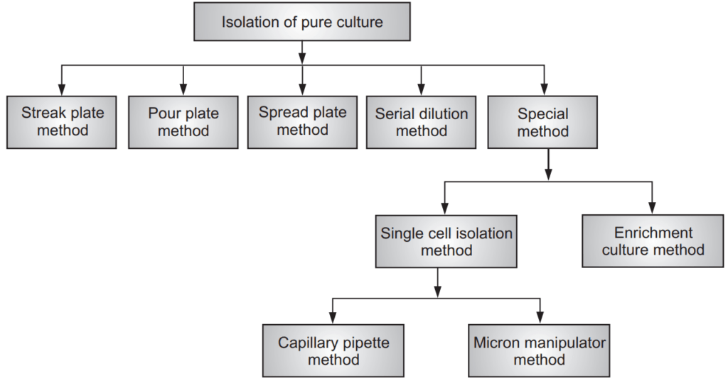 Types of isolation of pure culture