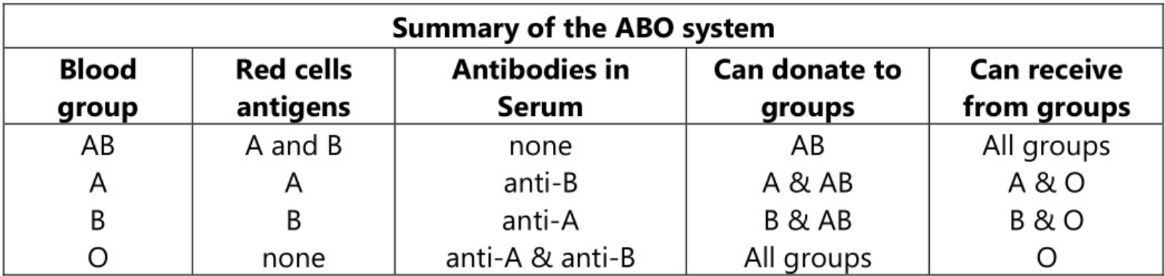 ABO system blood groups