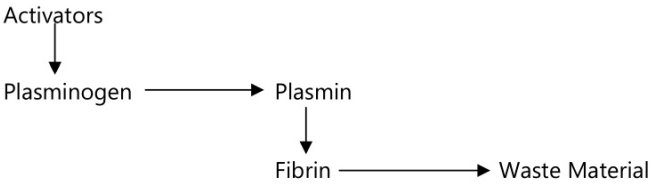 Fibrinolysis