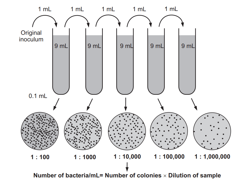 Serial dilution in solid media 
