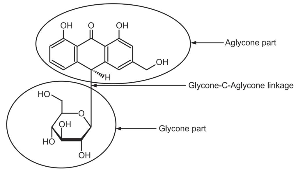 C-Linkage of Aloin in Aloes 