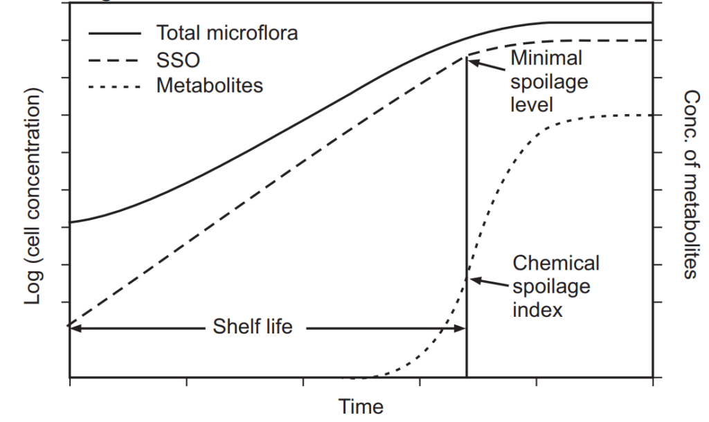 Growth pattern of microbial spoilage 