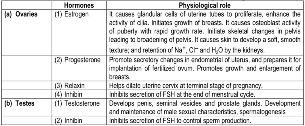 Hormones of ovaries and testes and their physiological role