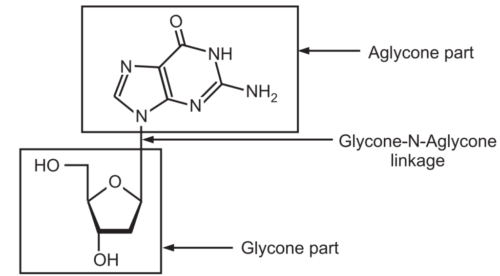N-Linkage of Nucleoside 