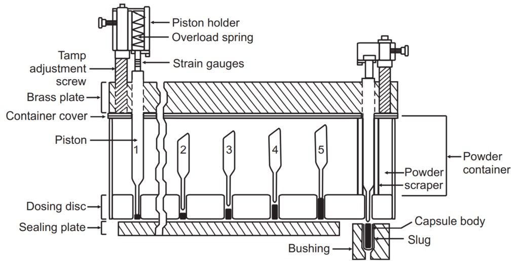 Side view (projected) showing progressive plug formation