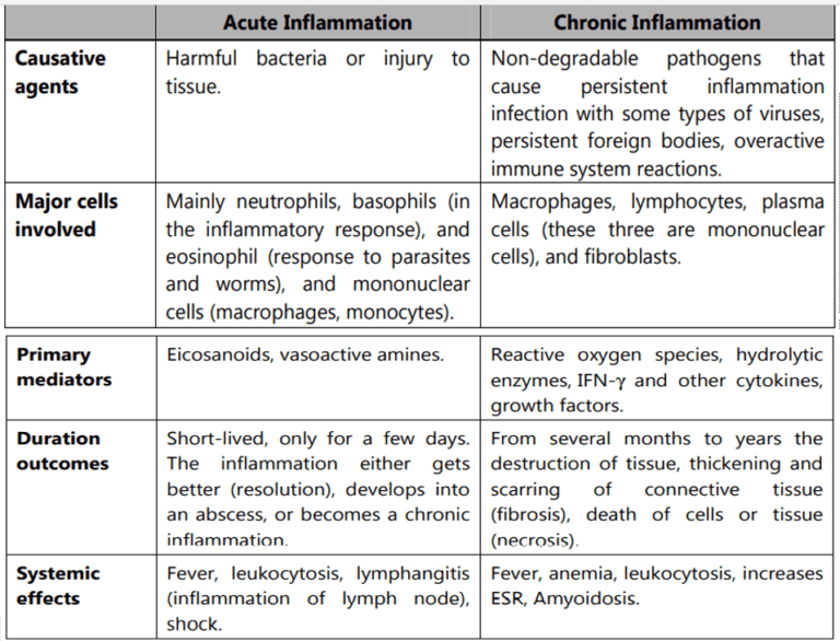 inflammation-definition-etiology-type-basic-mechanism