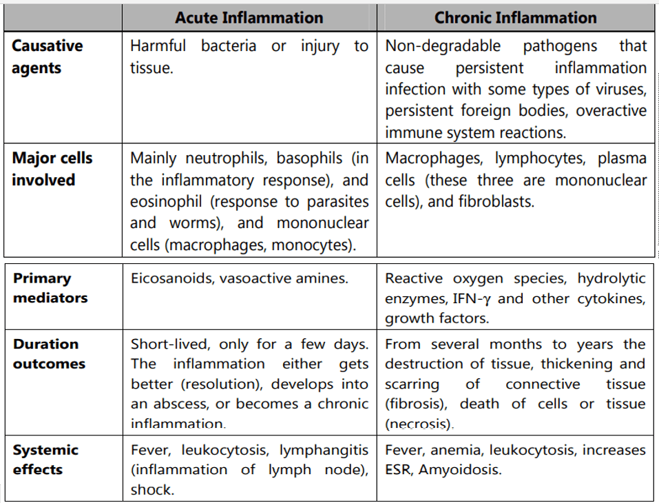 Comparison between acute and chronic inflammation 