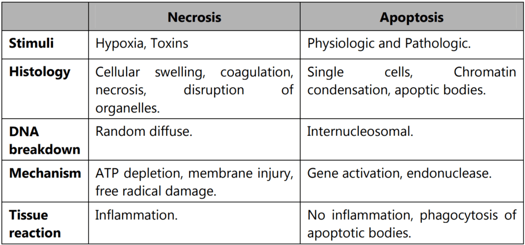 Difference between Necrosis and Apoptosis 