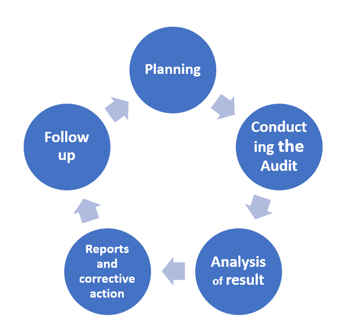 The Audit Life Cycle