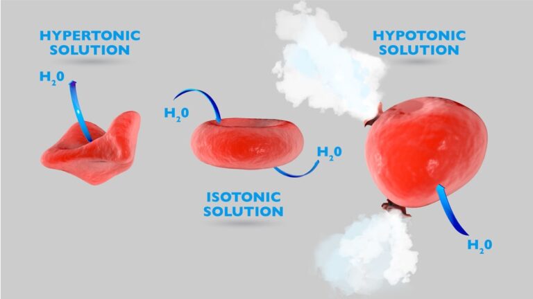 Buffered Isotonic Solutions