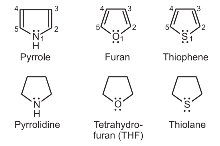 classification-of-heterocyclic-compounds-pharmacy-scope