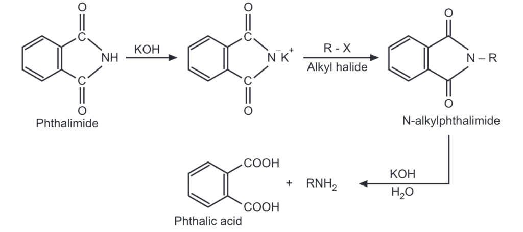Gabriel's phthalimide synthesis