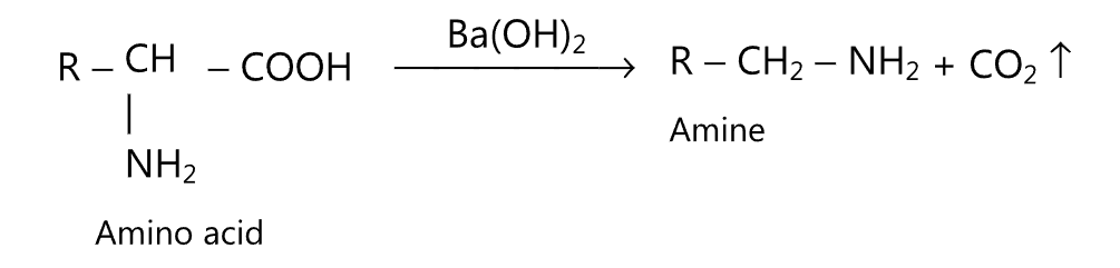 Decarboxylation of amino acids