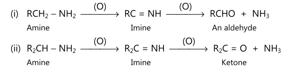 primary amines