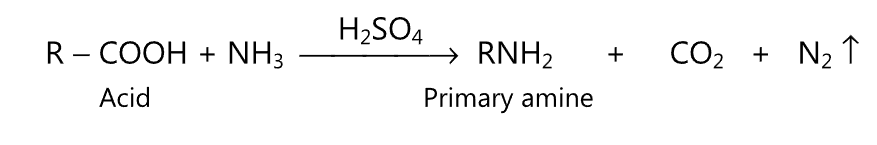 primary amine