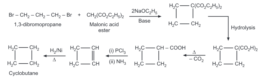 Reaction of Cyclobutane