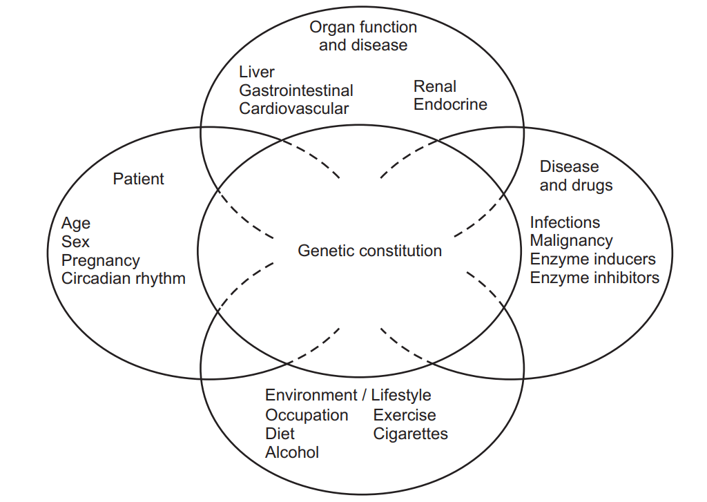 Factors influencing rate and extent of drug metabolism in liver