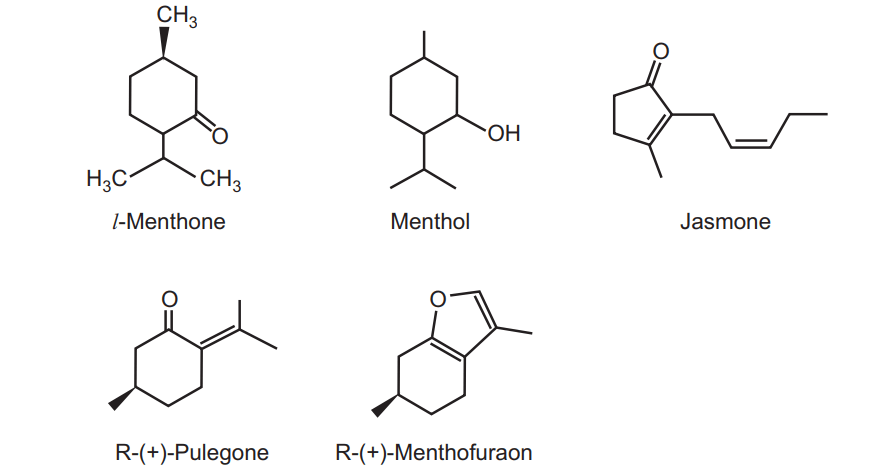 Chemical structure of Mentha plant 