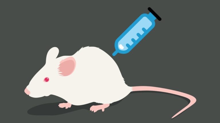 analgesic activity in mice