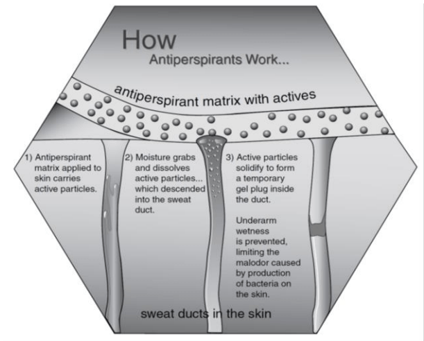 Mechanism of action of antiperspirants