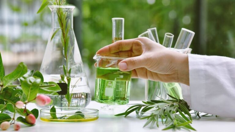 Role of Herbs In Cosmetics
