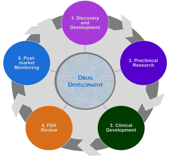 Drug Development Process or life cycle